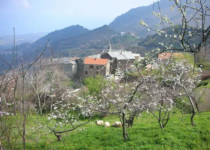 Apartamento Sole E Ventu 50qm San-Giovanni-di-Moriani